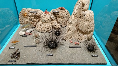 特別展「毒」