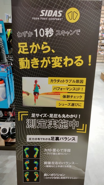 シダス