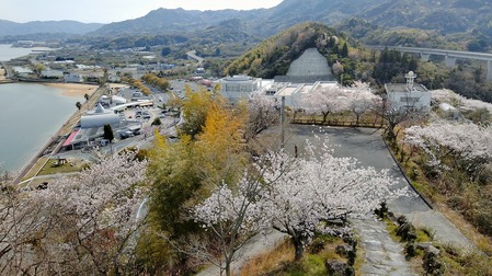 多々羅しまなみ公園