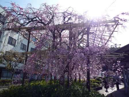 八幡市駅前