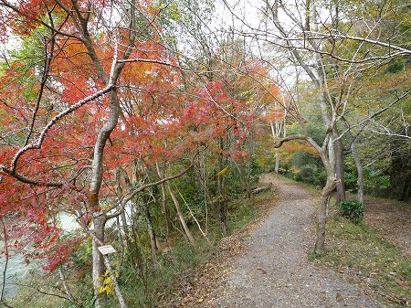 武田尾廃線敷-031