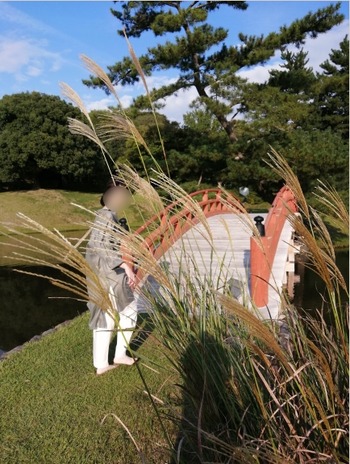 名勝　旧大乗院庭園