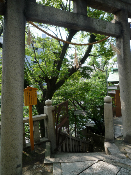 高津宮002