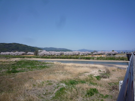 背割堤