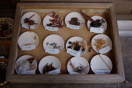 萬葉植物園 秋の実りと射干玉 ぬばたま の緑髪 わたしの図書館 萬葉植物園 秋の実りと射干玉 ぬばたま の緑髪 わたしの図書館
