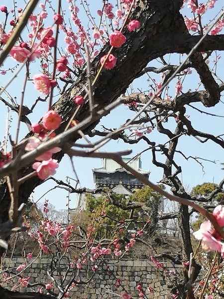 梅林