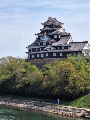 岡山城
