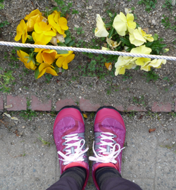 MERRELL TRAIL GLOVE 4 SHIELD CPH