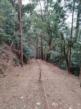 山中
