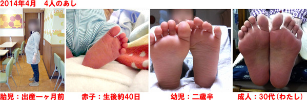 あし