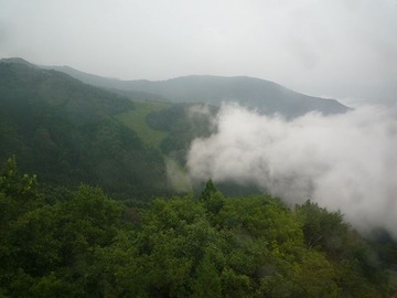 2288226_1304211833_96large