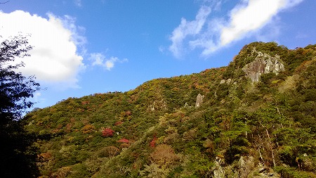 武田尾廃線敷-050