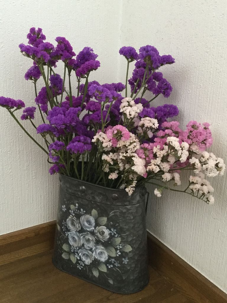 スターチス ドライフラワー ぽれぽれひなたぼっこ スターチス ドライフラワー ぽれぽれひなたぼっこ