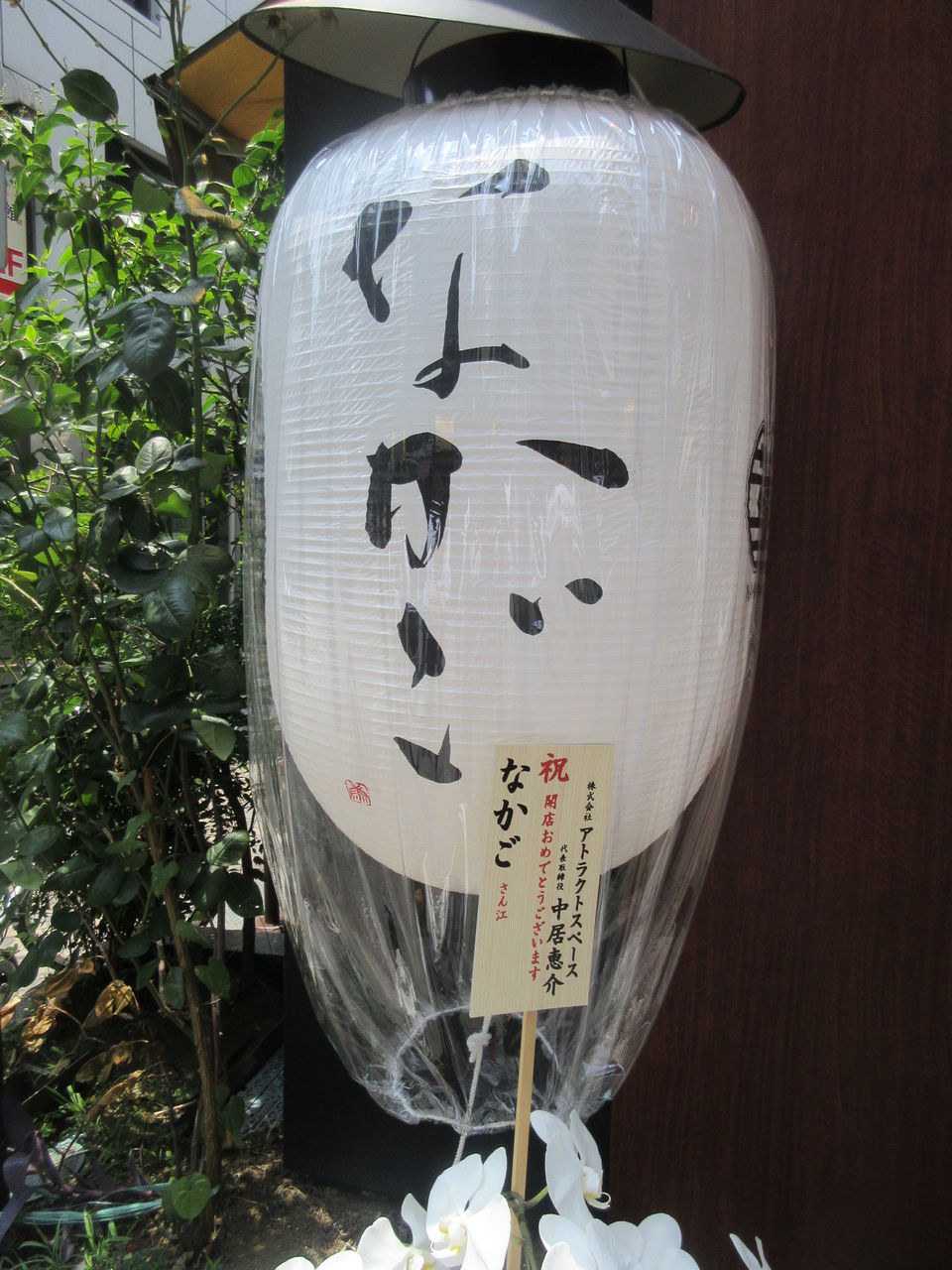 なかご 赤坂見附 純粋豚そば のどぐろ いくらご飯 なっくの食べたり飲んだり歩いたり