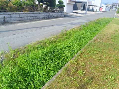IMG20260701155645