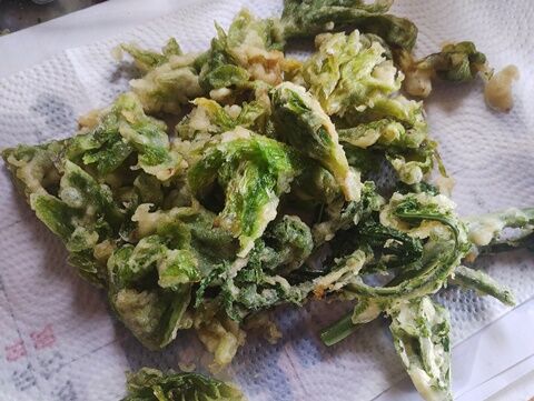 IMG_20240420_113634887