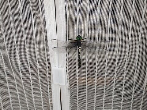 IMG_20240719_130351982