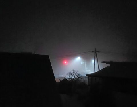 IMG20250310050439
