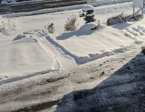 IMG_20231219_130650085_HDR