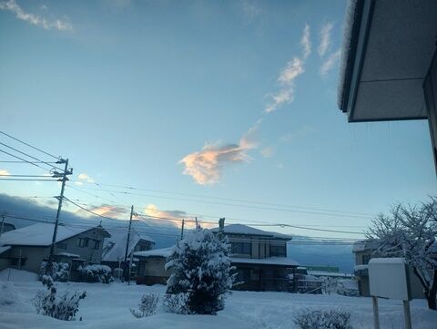 IMG_20241223_071025023_HDR