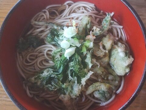 IMG_20240420_120033555