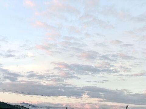 IMG20260728043855
