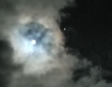 IMG20260131181808