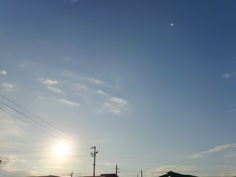 IMG20251123075109