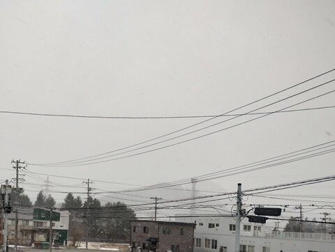 IMG_20240201_120937603_HDR