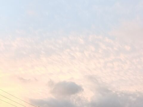 IMG20260918051814