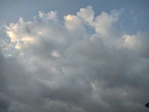 IMG_20240214_074636201_HDR