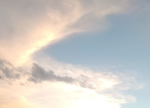 IMG20261006171659