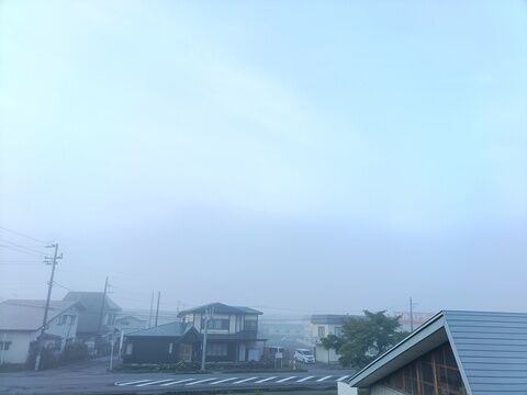 IMG20260729055317