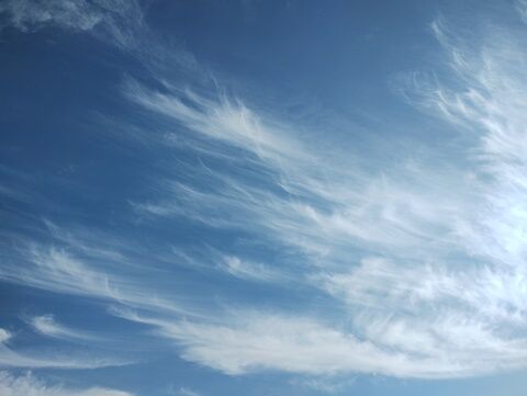 IMG_20240218_145521976_HDR