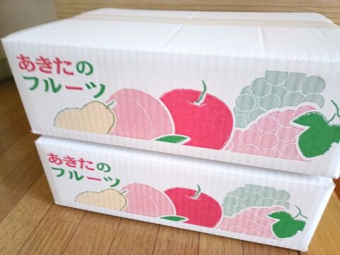 IMG20251123145726