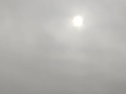 IMG_20240210_130837873