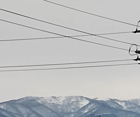 IMG_20240210_130847860