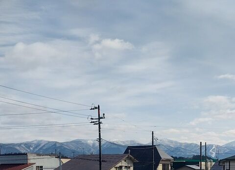 IMG_20240206_130208879_HDR