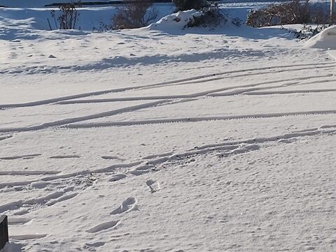 IMG_20240203_075626979