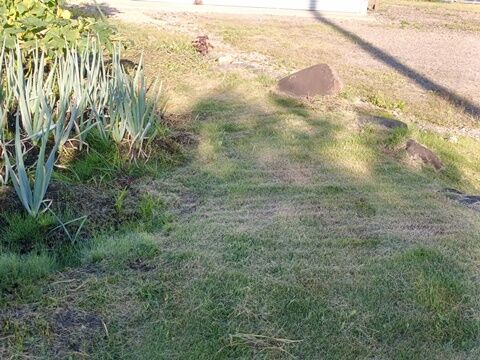IMG20260805061955