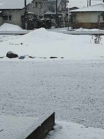 IMG_20240212_080706784