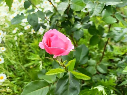 IMG20260609141816