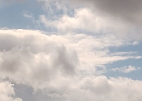 IMG_20240216_131042985