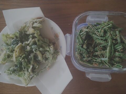 IMG_20240420_115815460