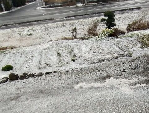 IMG_20231217_143654503_HDR