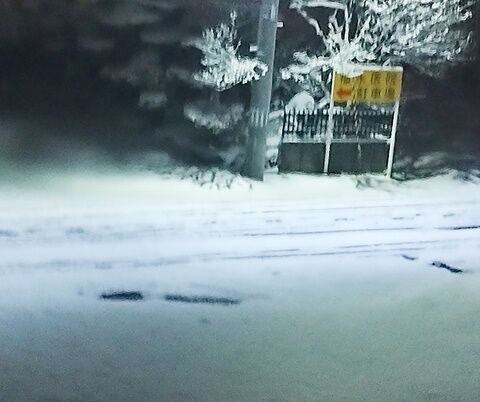 IMG_20240211_051752826