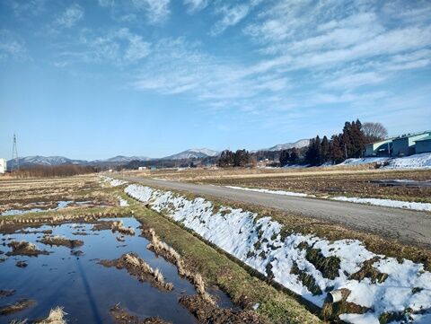 IMG_20240218_150919522_HDR