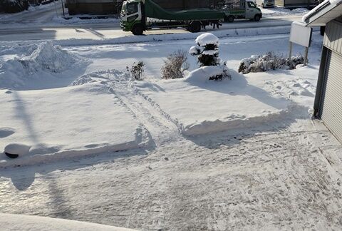 IMG_20231219_083631986_HDR