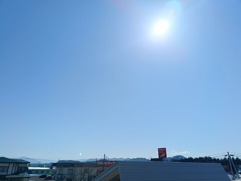 IMG20250310131309