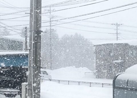 IMG20250211090050 (1)